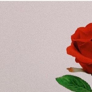 Meet your Posher, Nell